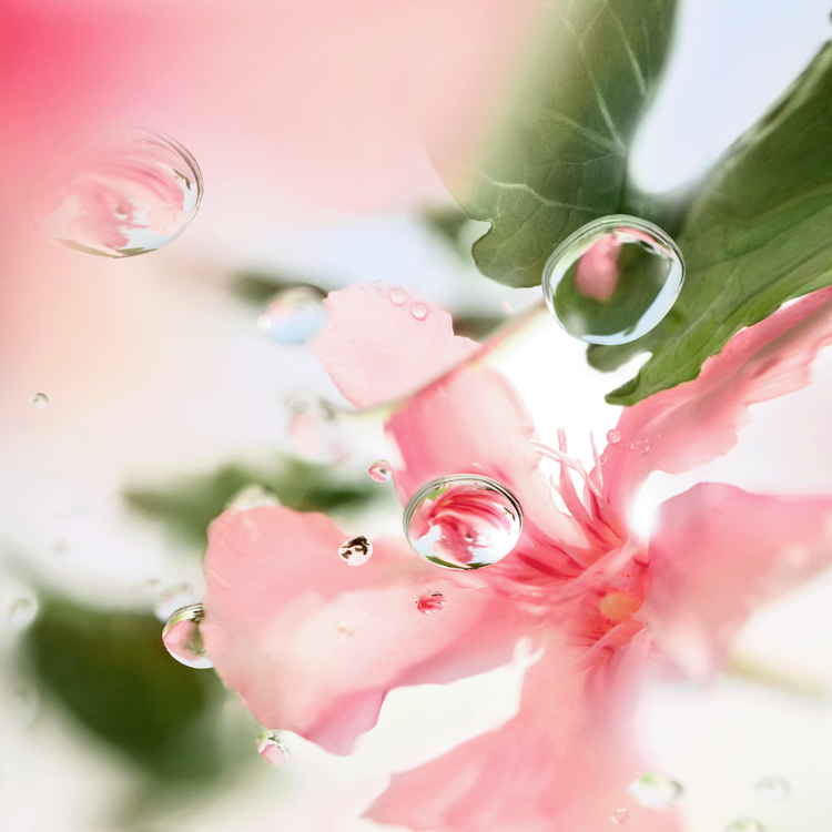 Les Ô Over The Top Eau de Toilette floral