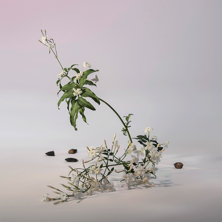 Jazmín Tonka Eau de Parfum para mujer