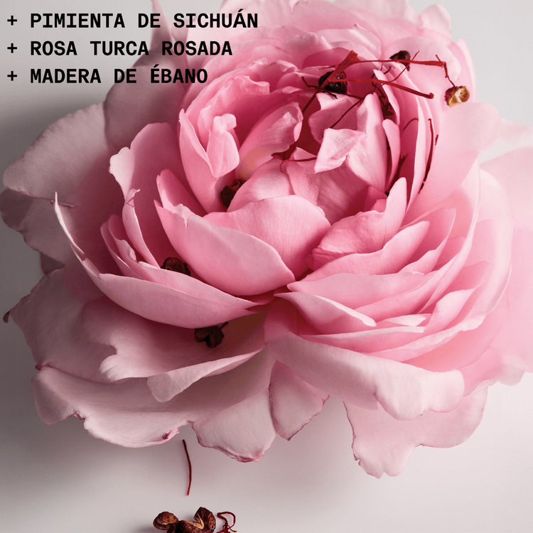 Love Club - Eau De Parfum, hipnótico, cautivador, irresistible