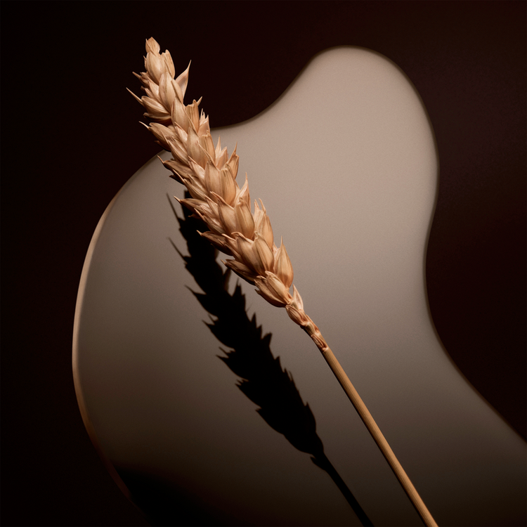 Boss The Scent Eau De Parfum Perfume para hombre