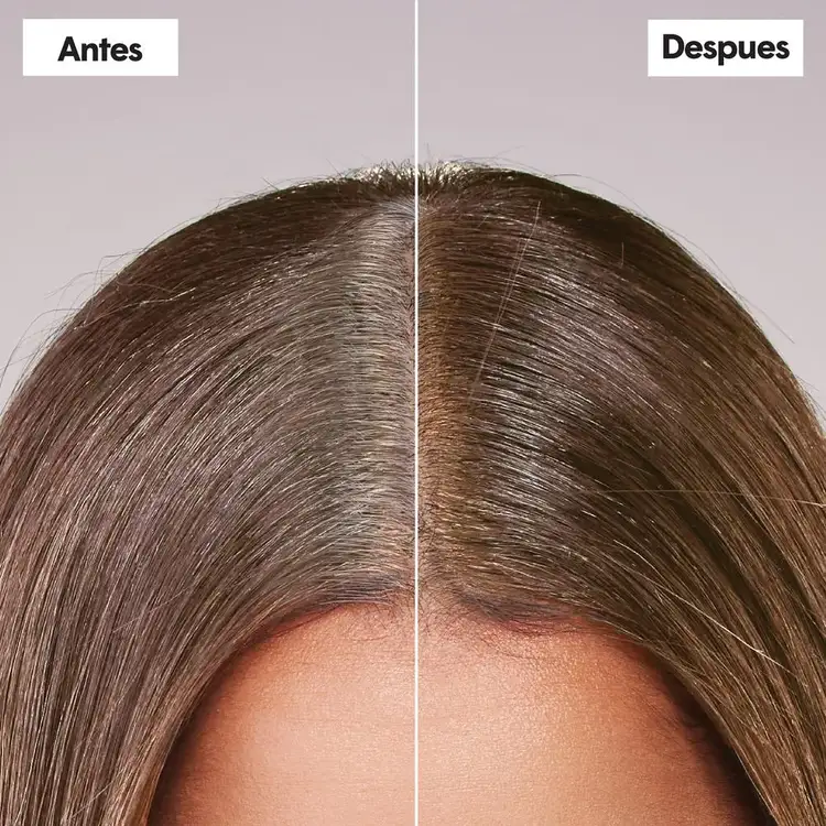 Root Touch Up Kit Kit de retoque para el cabello cubre canas entre aplicaciones de color