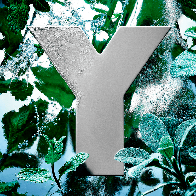 Y Iced Cologne - Eau de Parfum, deja una estela duradera y elegante