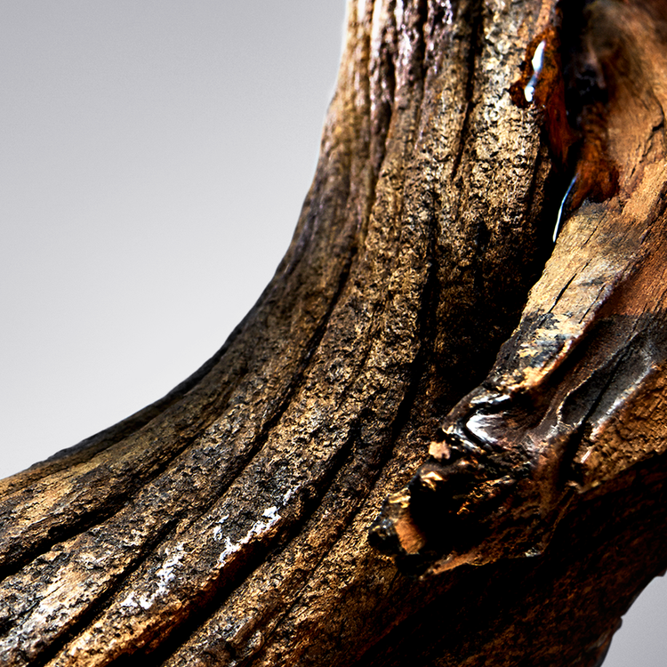 Boss Bottled Eau De Toilette Perfume para hombre