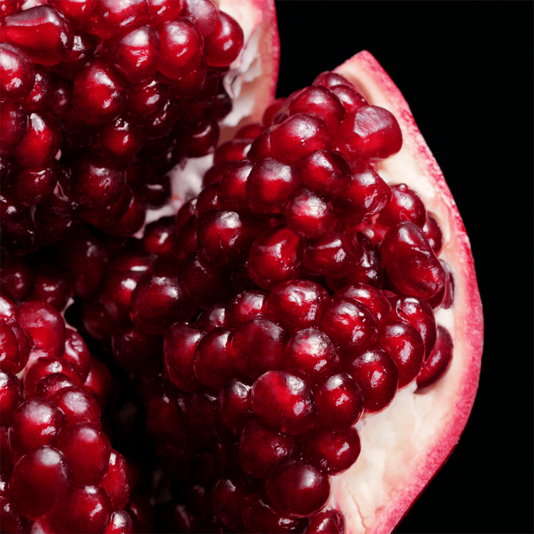 Nutriplenish Acondicionador hidrata y nutre el cabello seco y opaco