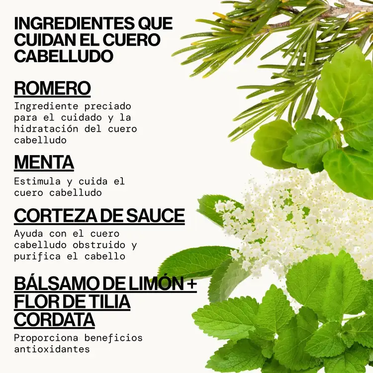 Rosemary Mint Scalp Love Foam - Acondicionador, hidrata el cabello