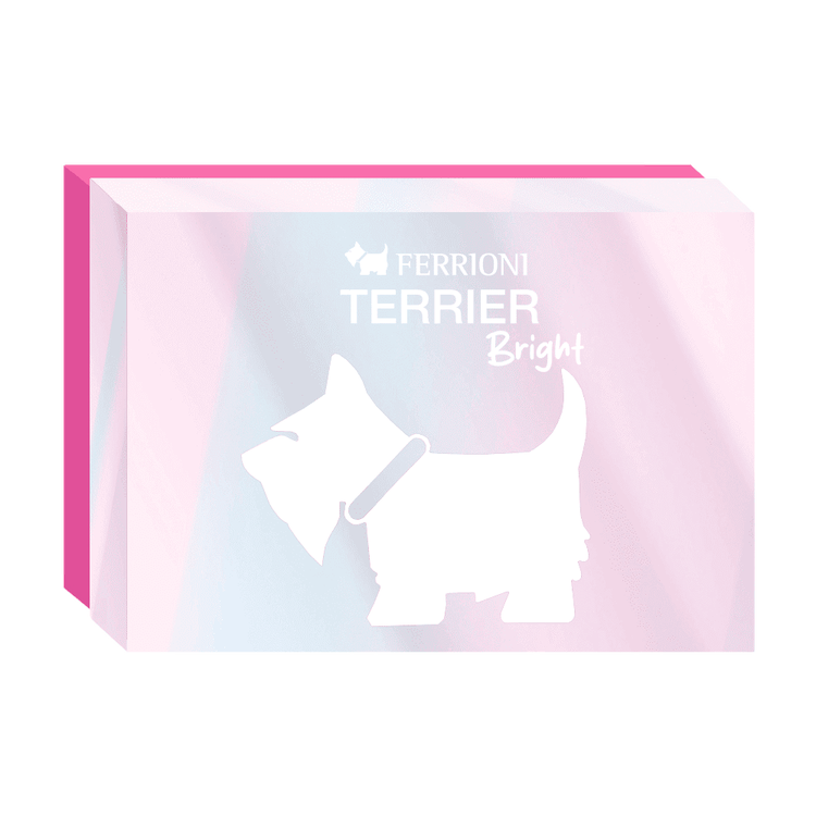 Terrier Bright - Set de regalo, Eau de Parfum + crema de manos + mini spray