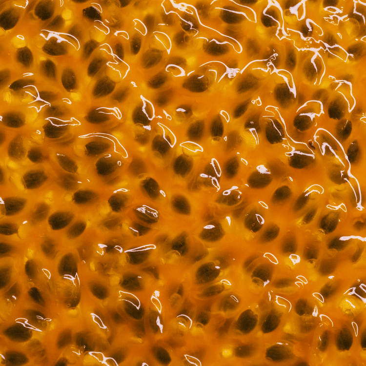 Blonde Revival Acondicionador neutraliza el color en rubios y platinados