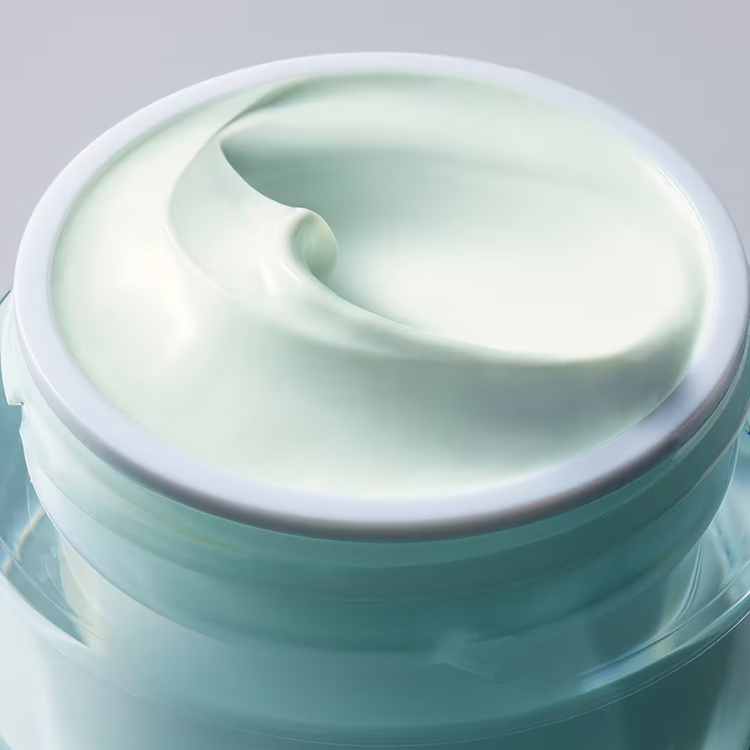 Daywear Advanced Multi-Protection Antioxidant 24H Cream Moisturizer Spf 15 Hidrante facial milti-protección fps15 antioxidante