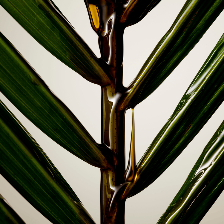 Blonde Revival Acondicionador neutraliza el color en rubios y platinados