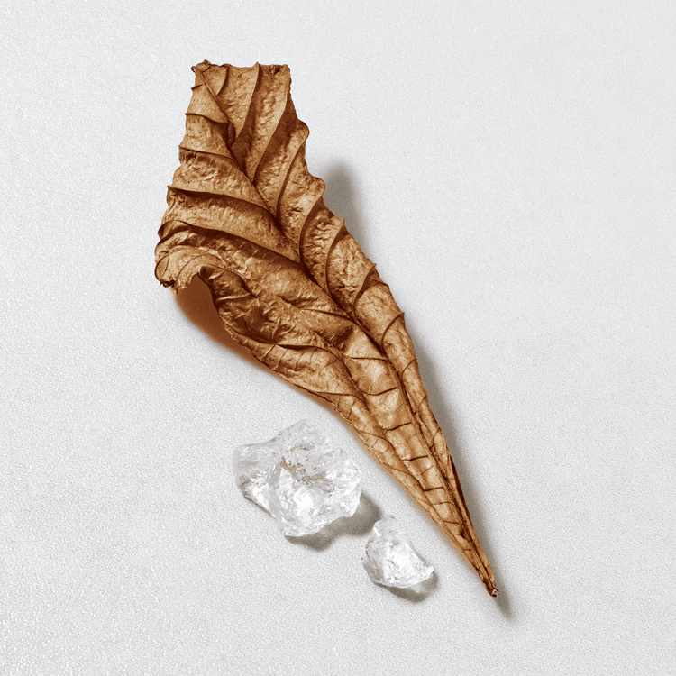 Acqua Di Giò - Eau De Toilette, fragancia masculina ligera y acuática