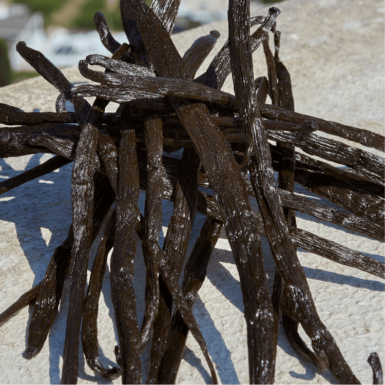 Devotion - Eau De Parfum, una creación olfativa de contrastes exquisitos